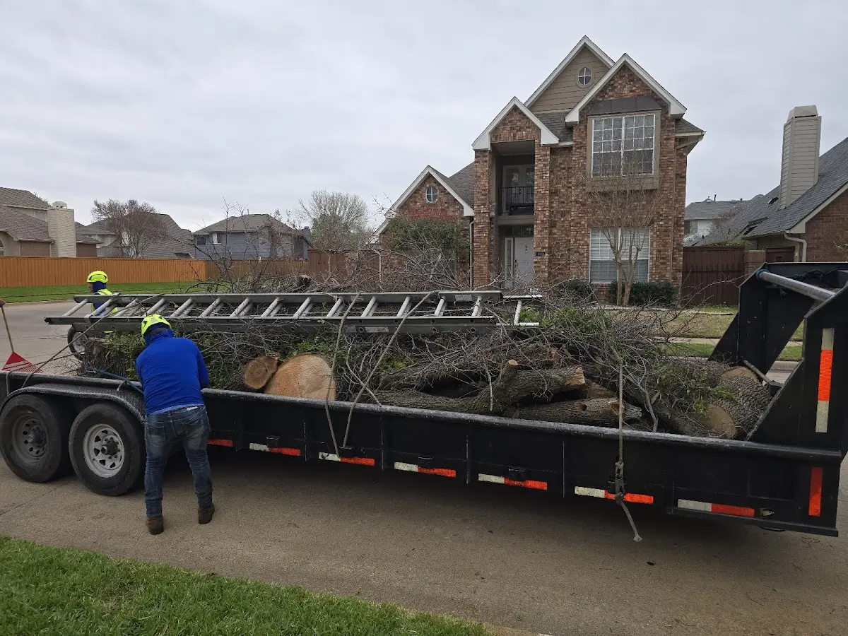 Expert Lot Clearing with proper safety equipment in Martell